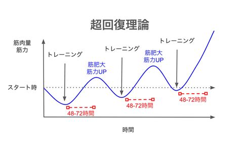 超回復 部位|【筋トレ】筋肉回復の部位別期間・超回復。